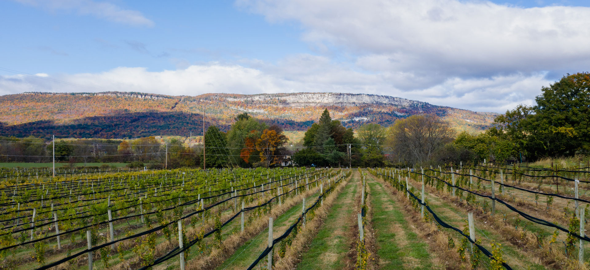 Whitecliff Vineyard & Winery: Tasting with a Hudson Valley Pioneer