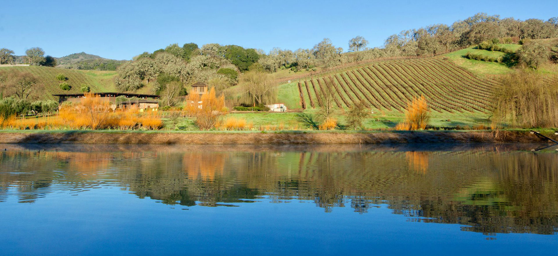 Saracina Vineyards – modern eco-friendly winery