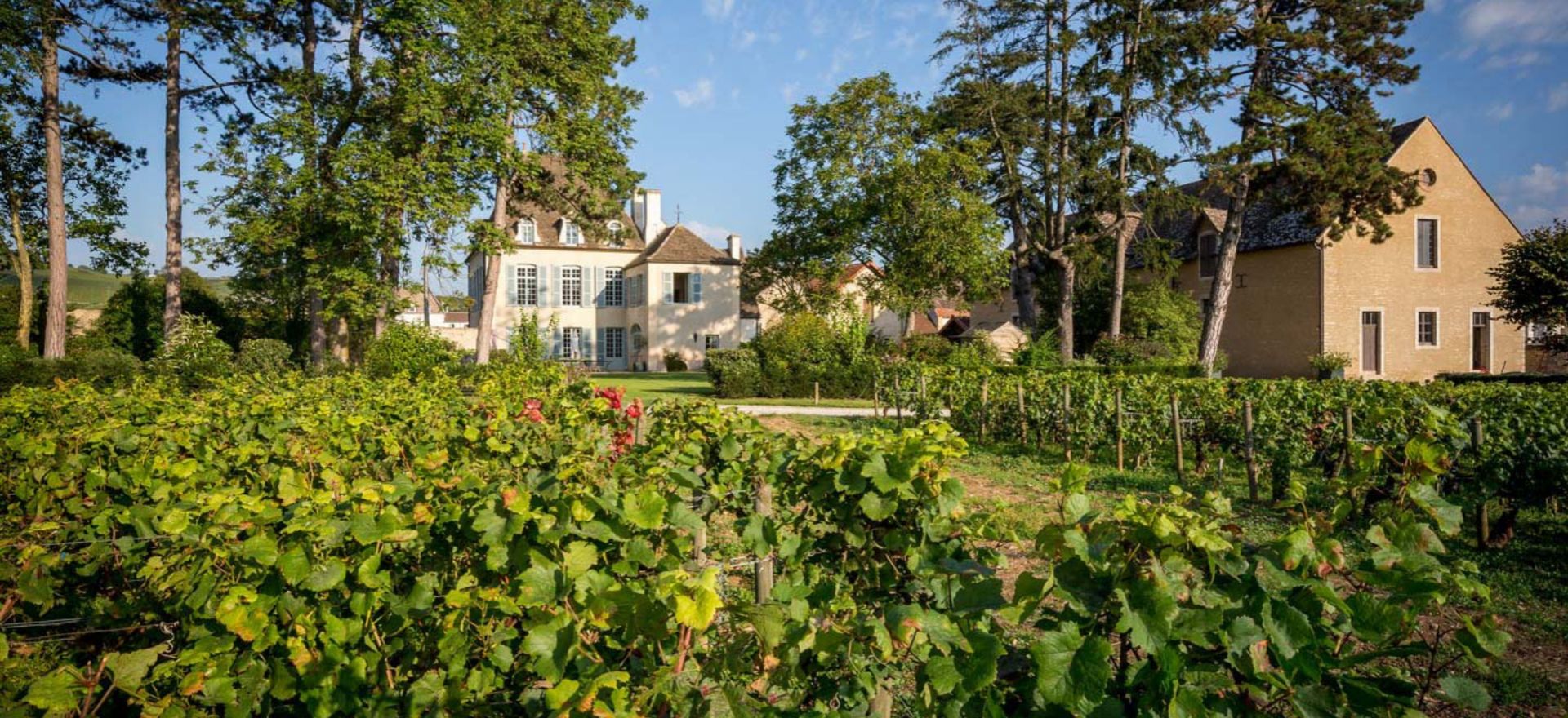 Albert Bichot C’est la Vie Wines – a party from the South of France