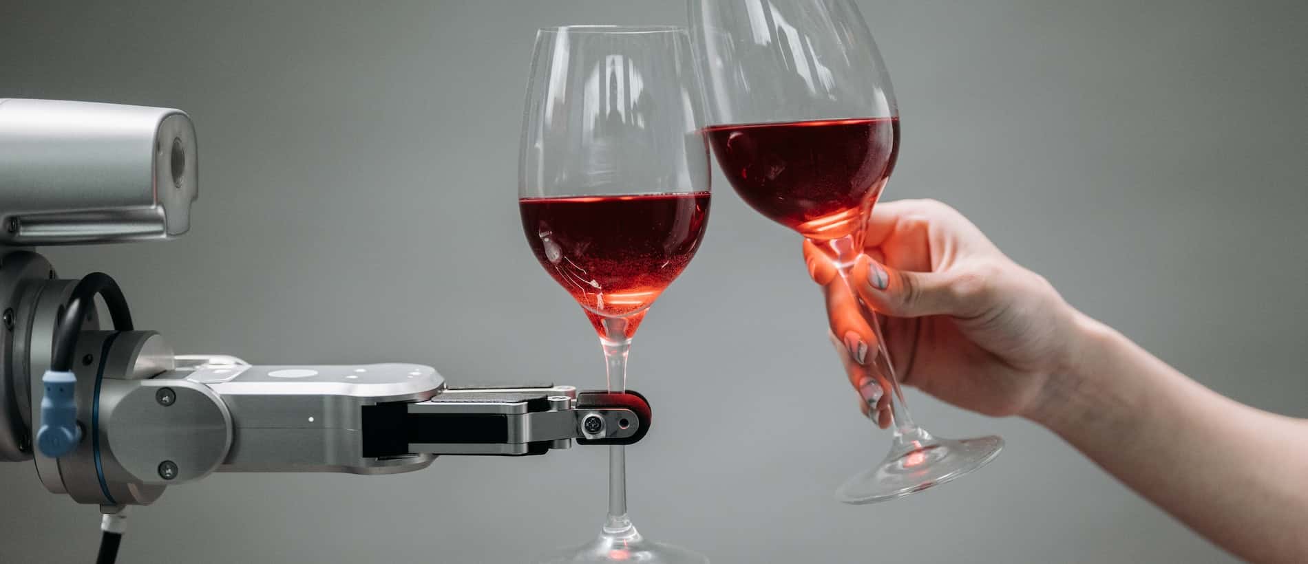 Robots in the Vineyard: How Technology Influences Winemaking