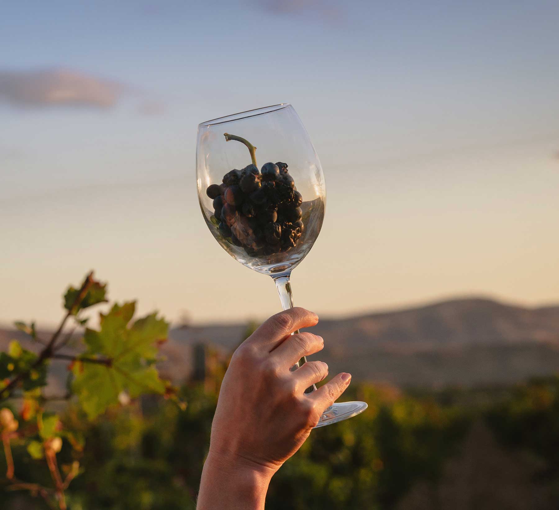 A souvenir wine glass
