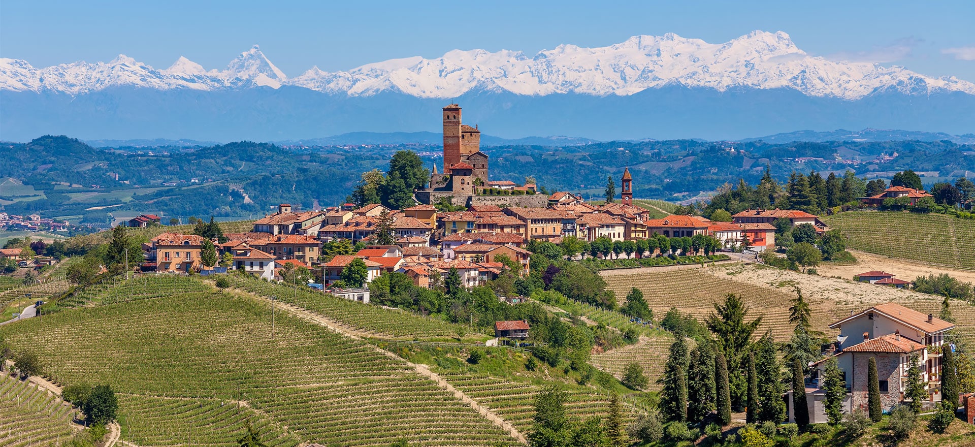 La Dolce Vita Dinner: Wines of Piedmont